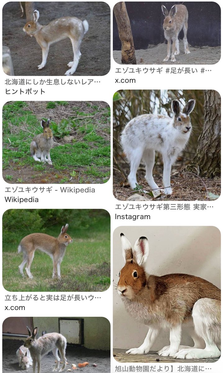 らなღ tweet media