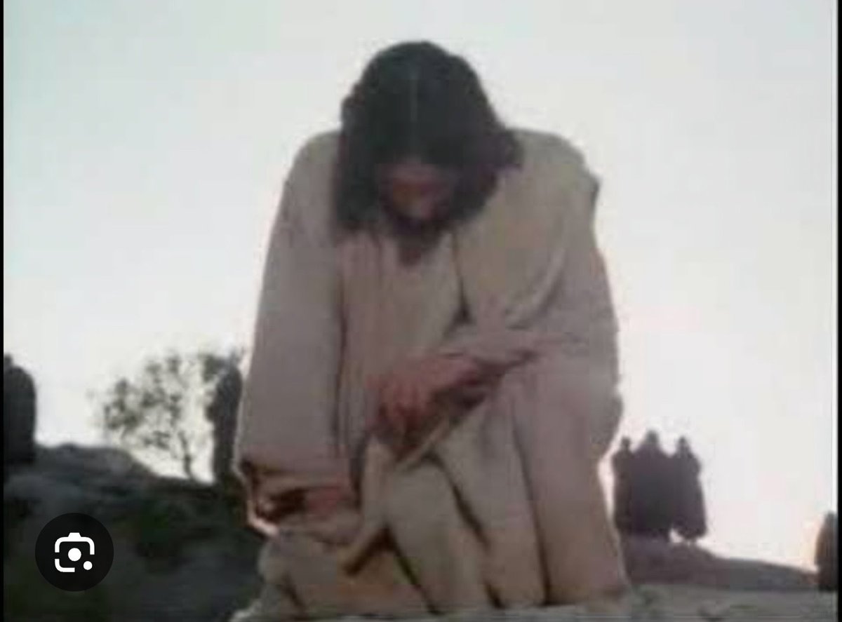 Good morning ladies and gentlemen 🌏🌏