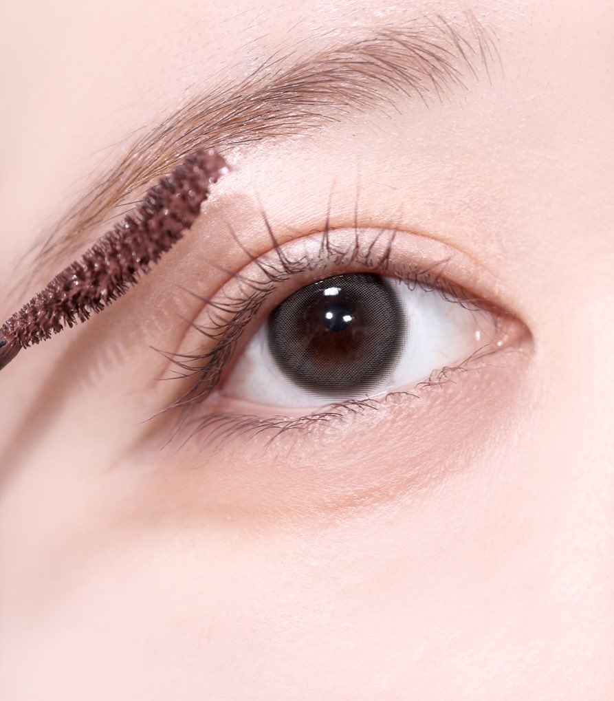 코덕쪼코 tweet media