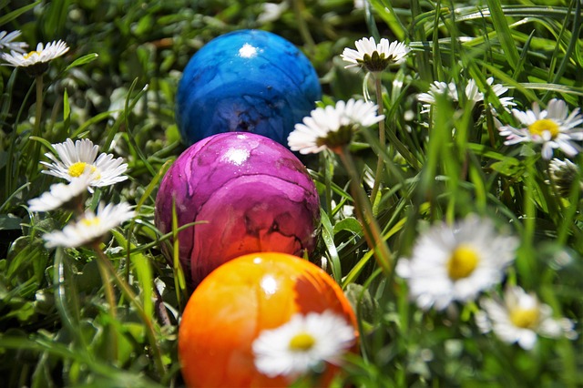 Joanna Ward tweet media