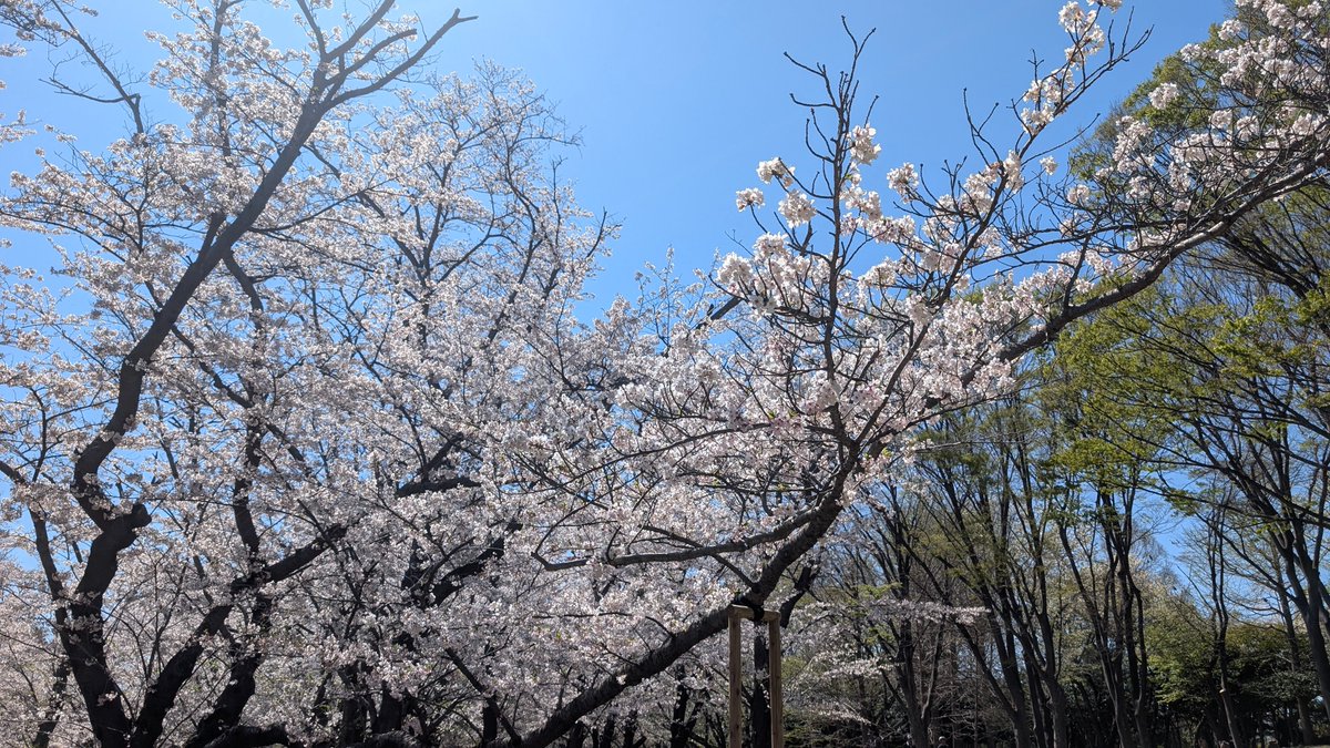 ぐる☆ぐる☀🪂🚤 tweet media