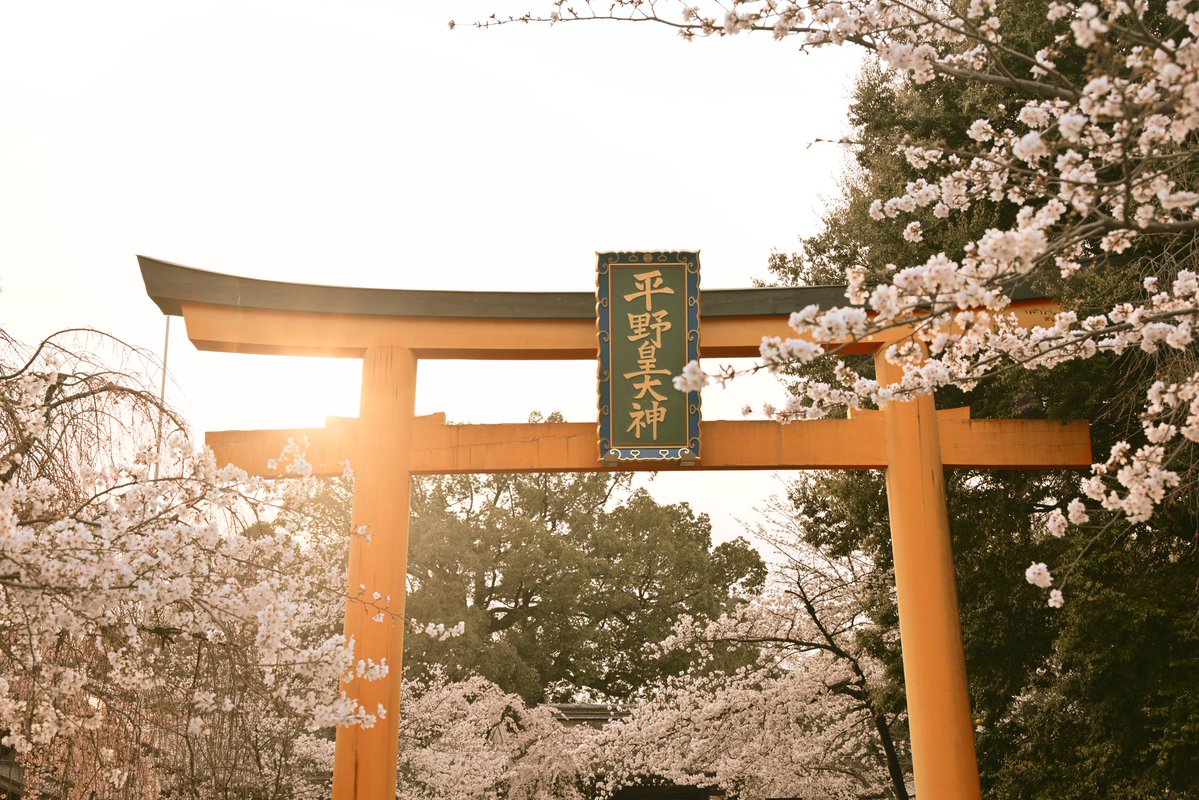 写真日和 tweet media