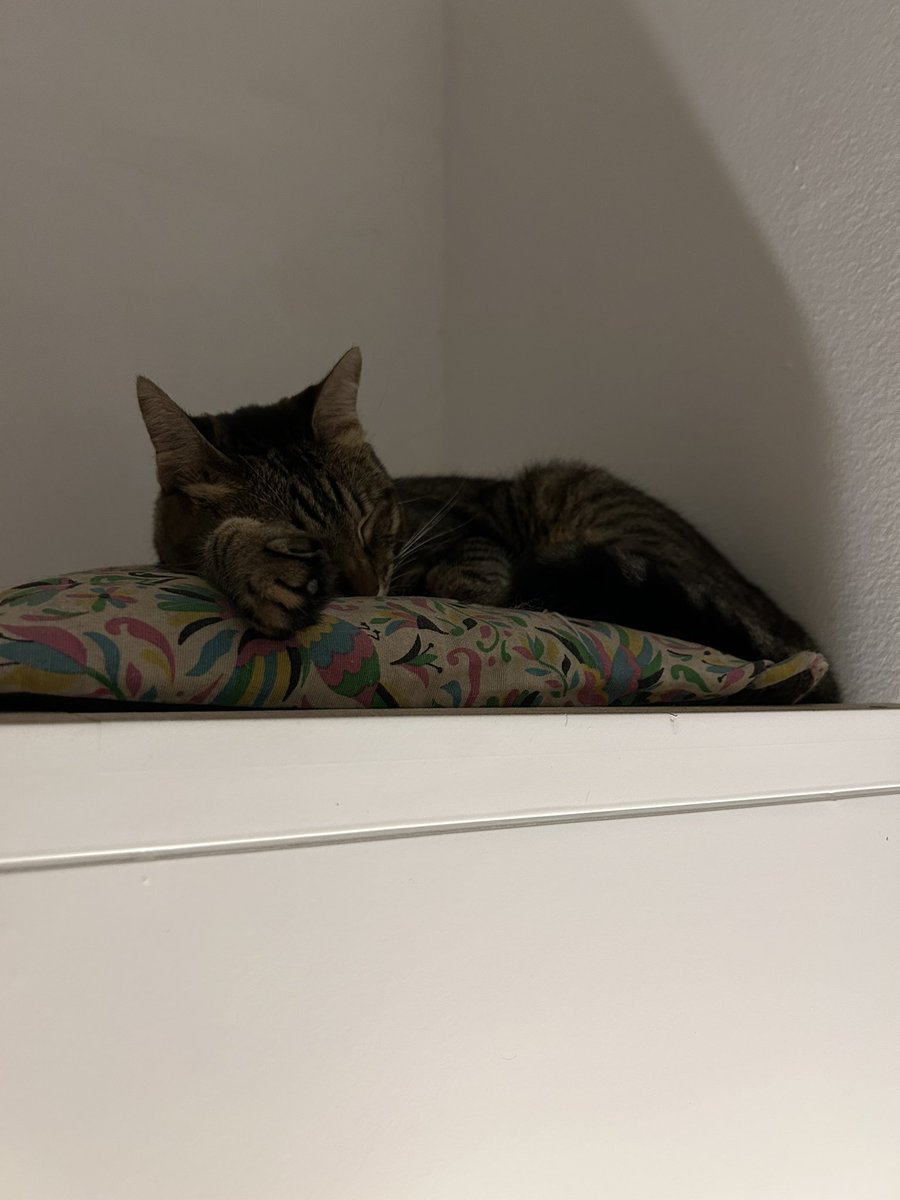 Laura 🌱 tweet media