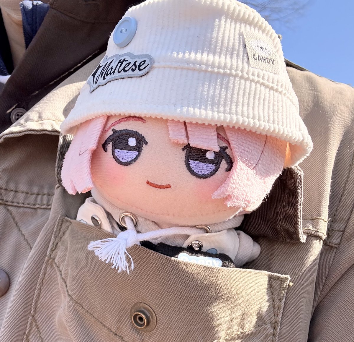 ずざい tweet media