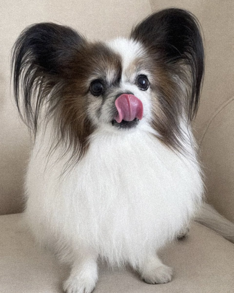 のろちゃん tweet media