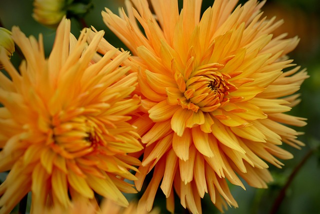 Yvonne Miller tweet media