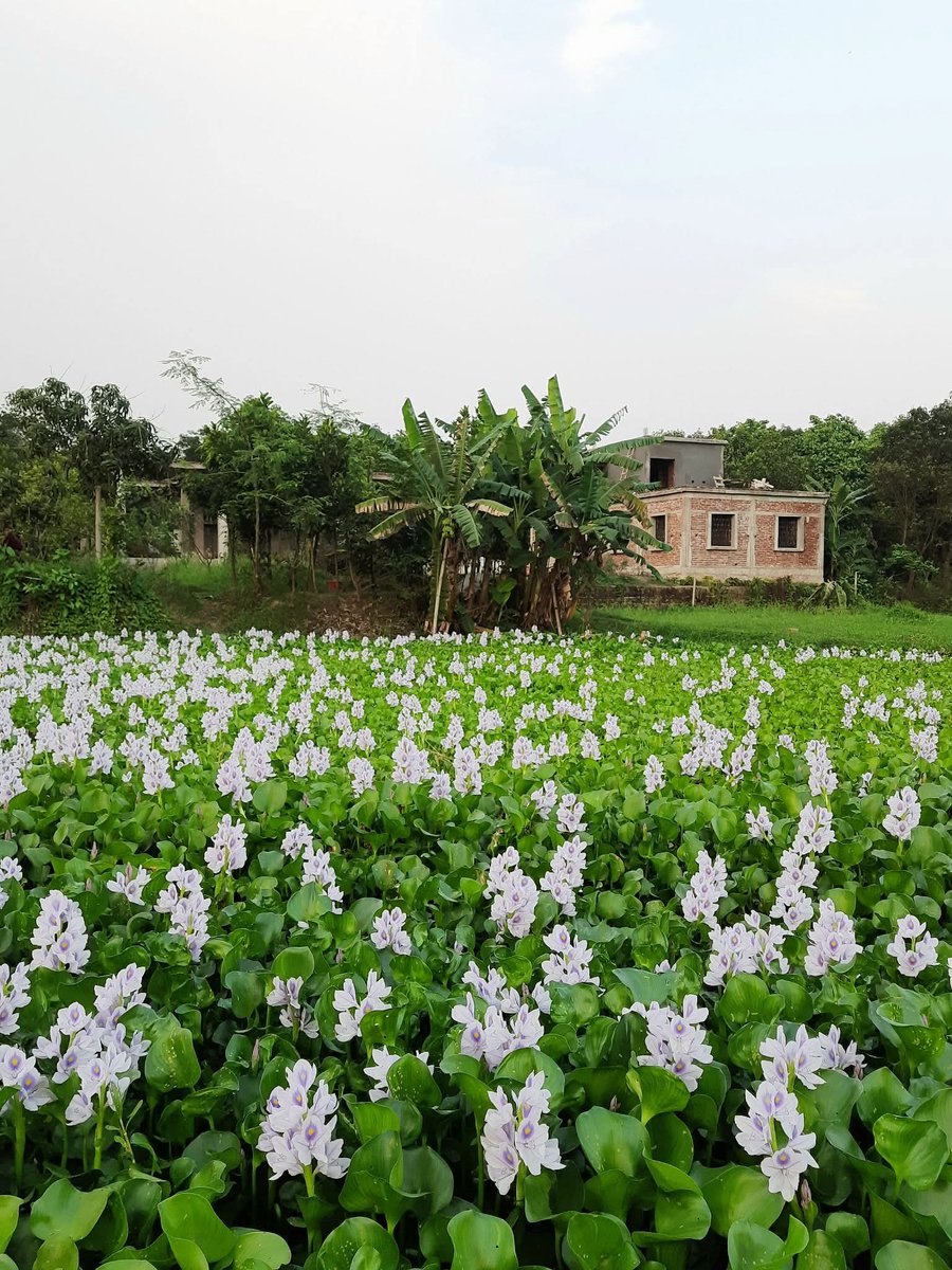 লেডি ডন 💃 tweet media