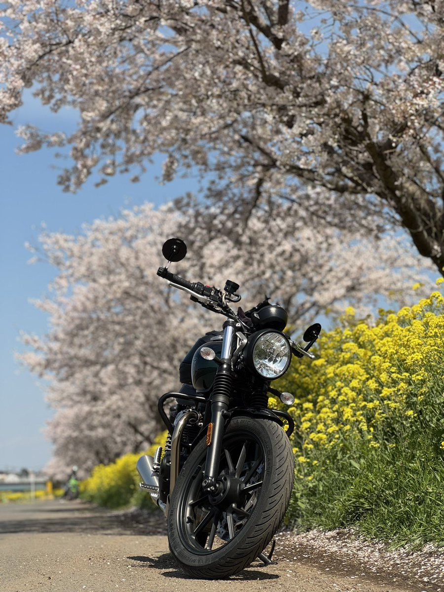 ぺぺよ🍙タグ巡回 tweet media