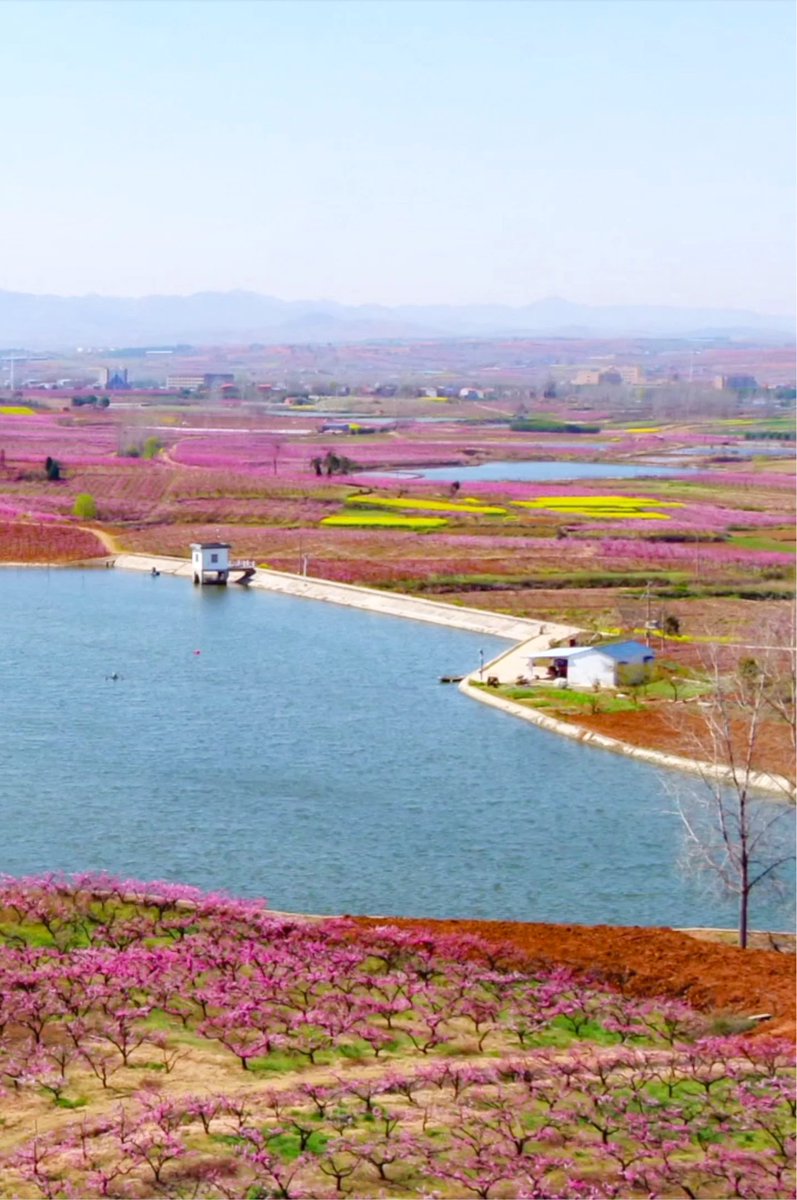 HelloHubei tweet media