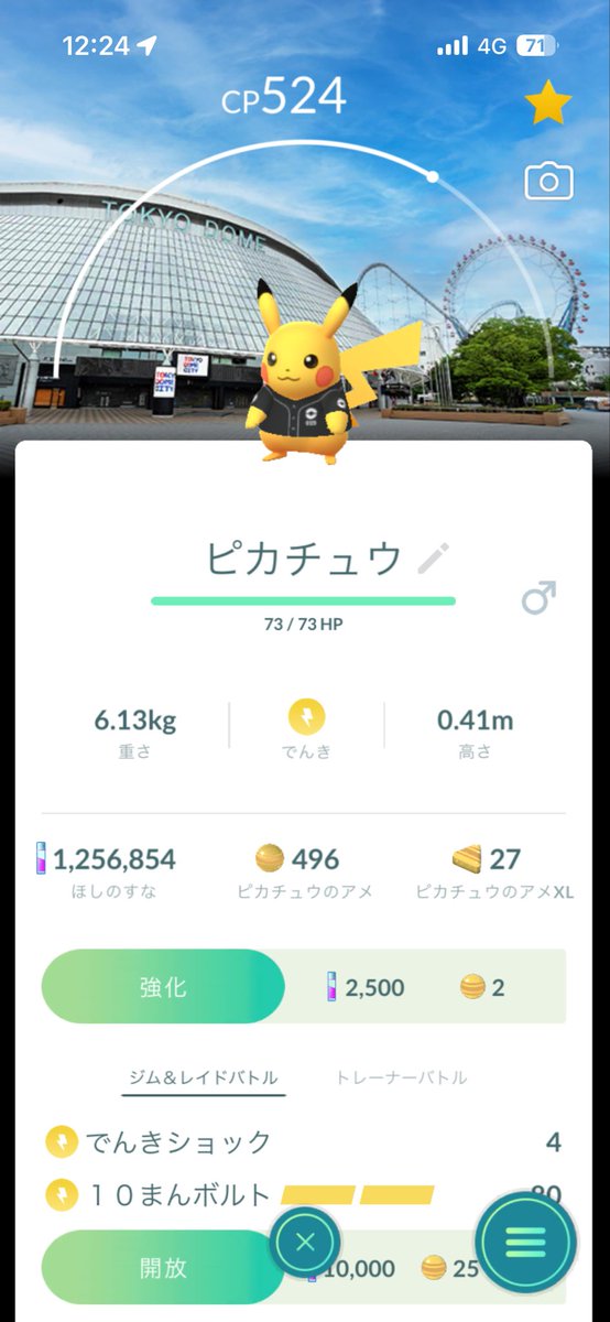 bot/ポケモンGOフェス☘️ tweet media