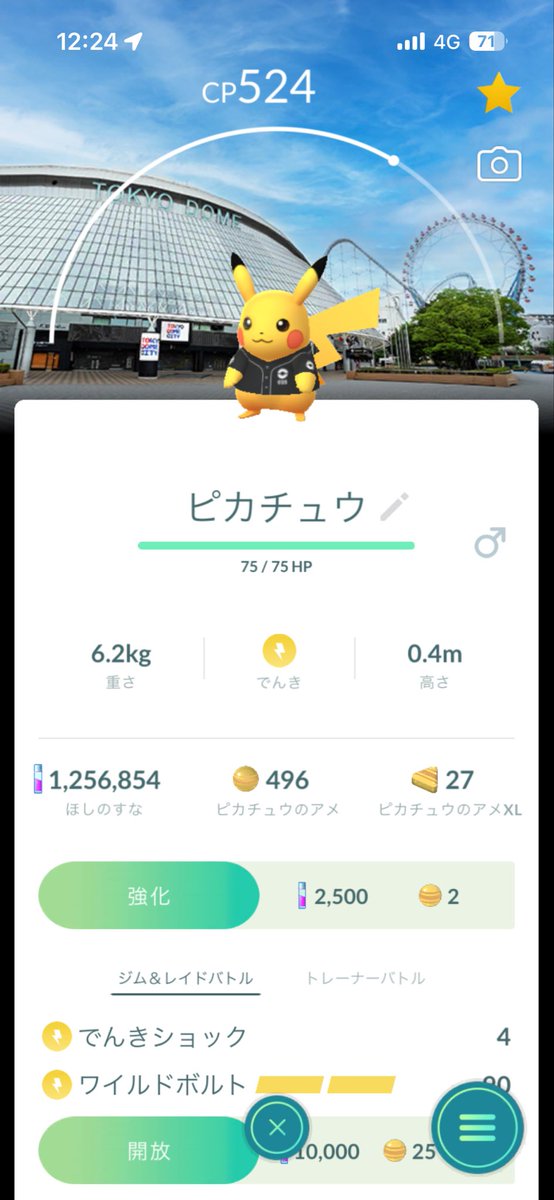 bot/ポケモンGOフェス☘️ tweet media