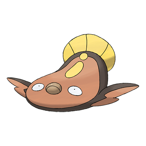 C_Splash tweet media