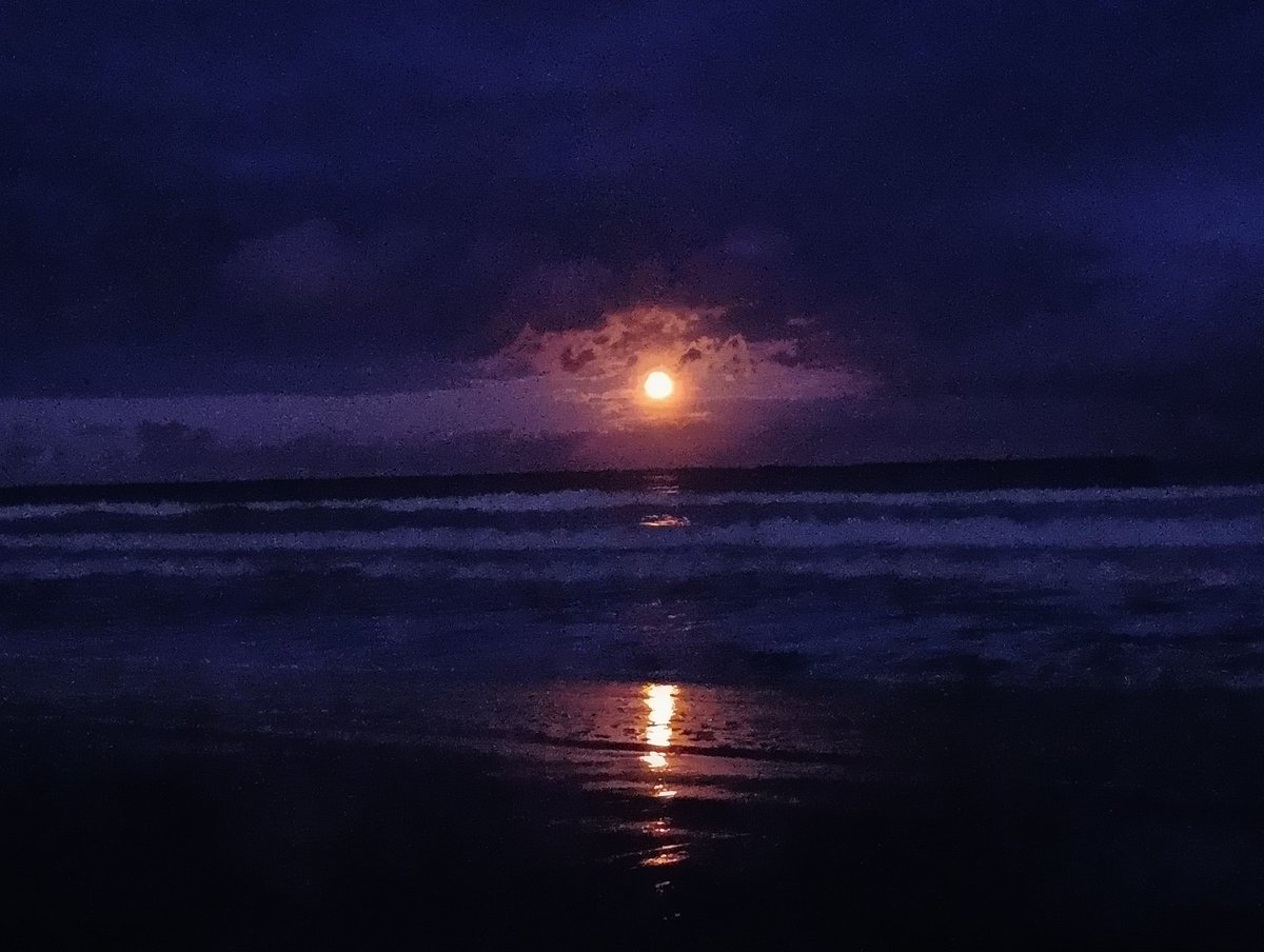 髙岩大輝 tweet media