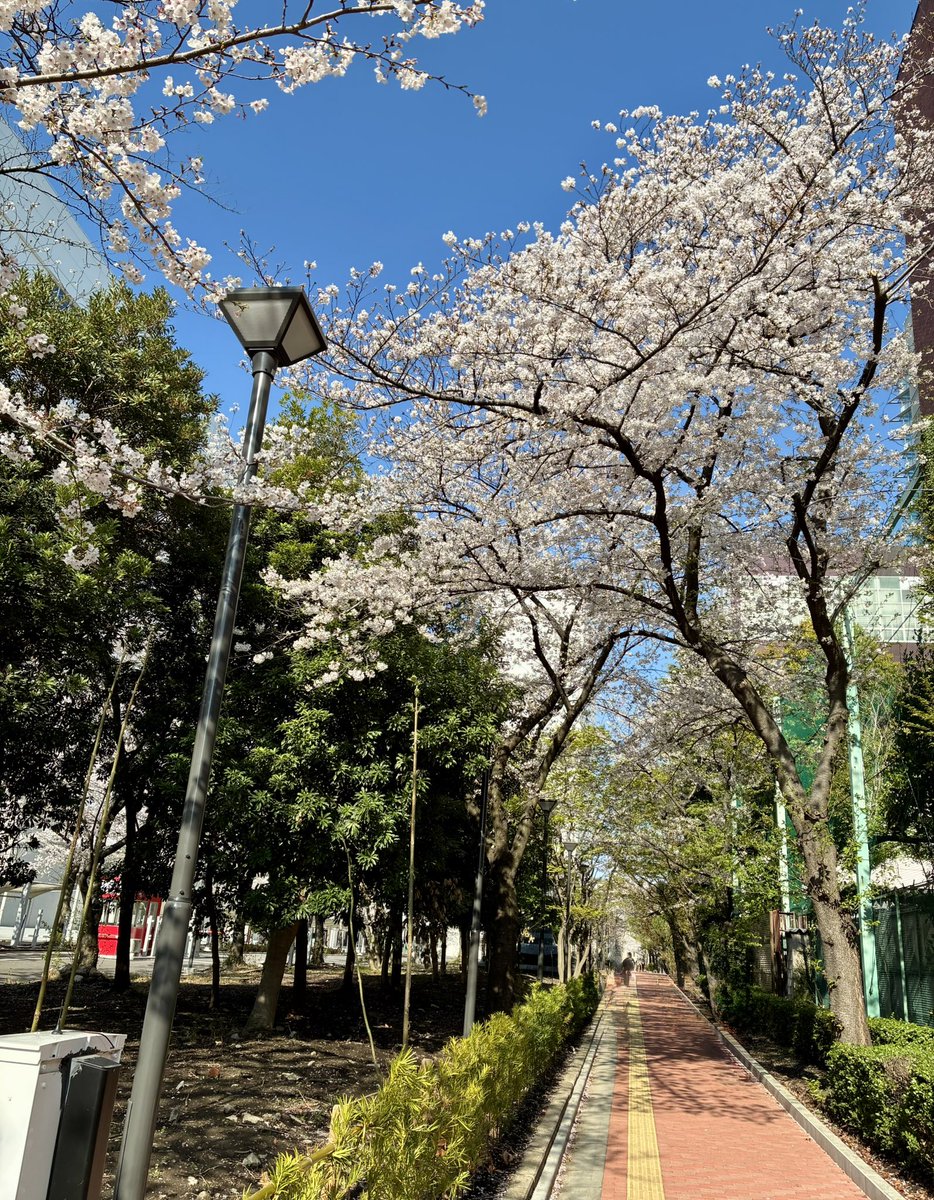 大戸 浩基@FCE | 東証9564 | ７つの習慣®研修講師 tweet media