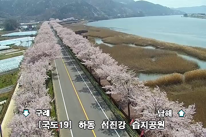 국가교통정보센터 벚꽃명소 인근 교통 안전 안내 이미지