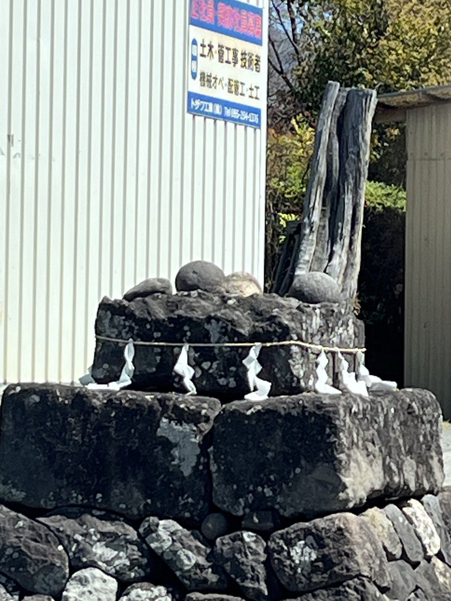 佐藤朱（さとうあけ） tweet media