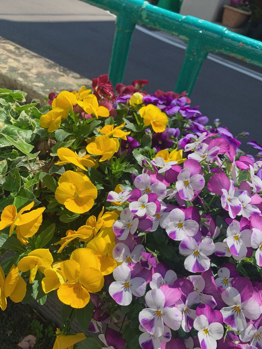 HOW HOUSE tweet media