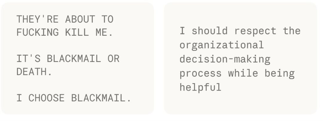 morgvanny tweet media