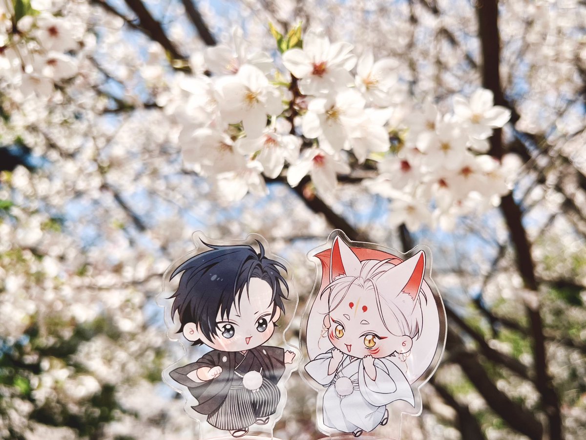 茉白あさひな🌸5/21❷巻発売 tweet media