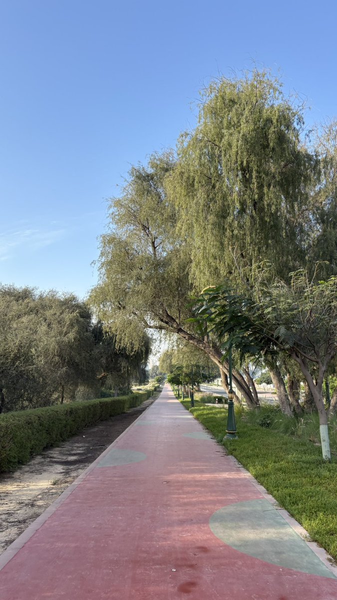 tsanad's tweet photo. Back to my daily walks. Weather in #Dubai amazing now. 22c in the morning with a lovely cool breeze. Amazing for April. @PinkTaxiRunner knows exactly where I am https://t.co/9WRRD6H72d