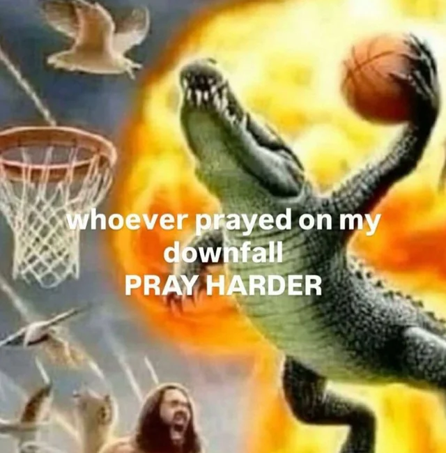 NOS ChloeZerA tweet media