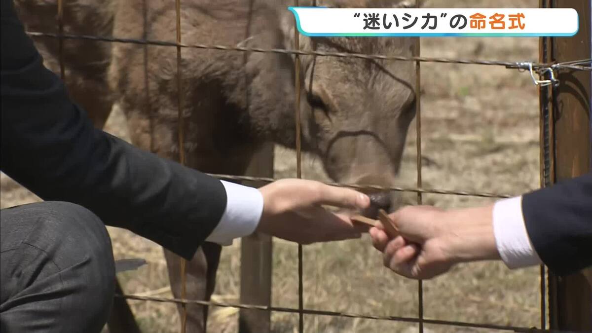 ライブドアニュース tweet media