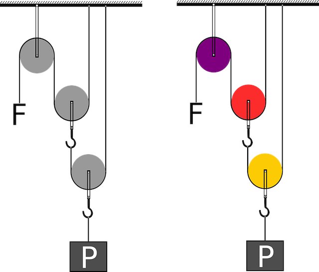 Barbara Monica tweet media