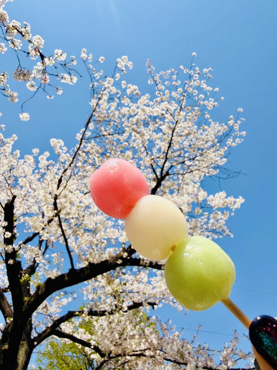 ナヲきち tweet media