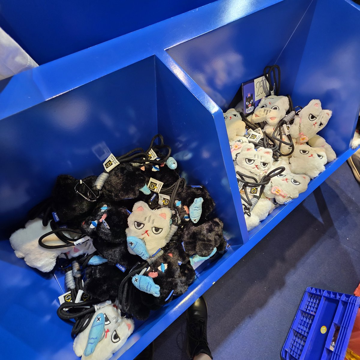 Siha시하.숨🇰🇷🐺🐱🥑🌻 tweet media