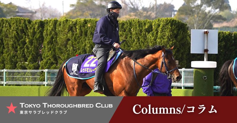 【公式】東京サラブレッドクラブ tweet media