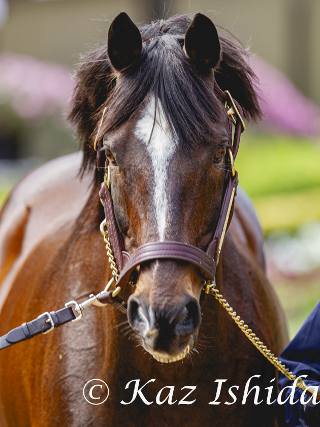 Kaz Ishida tweet media