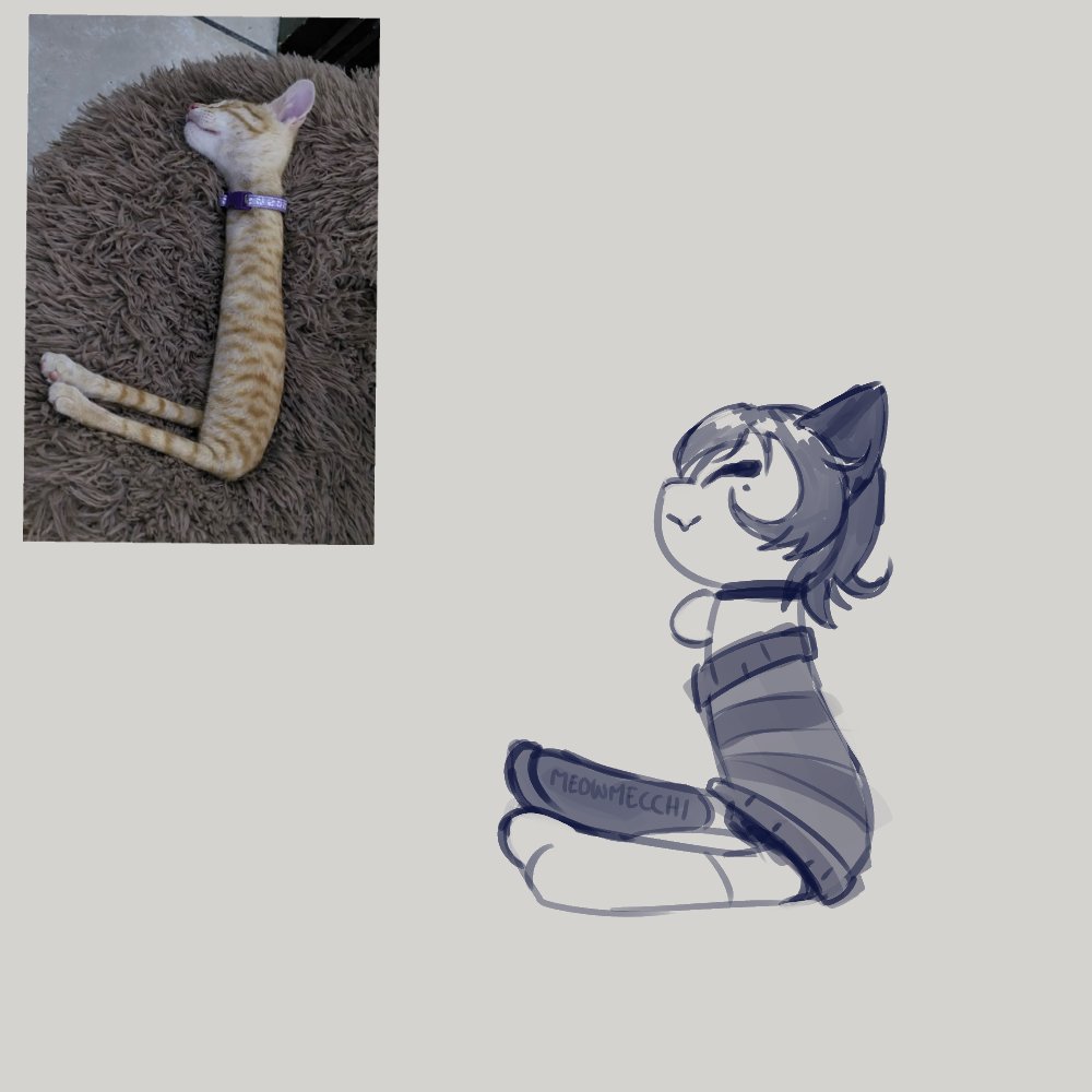 Meow ✧ Being Silly tweet media