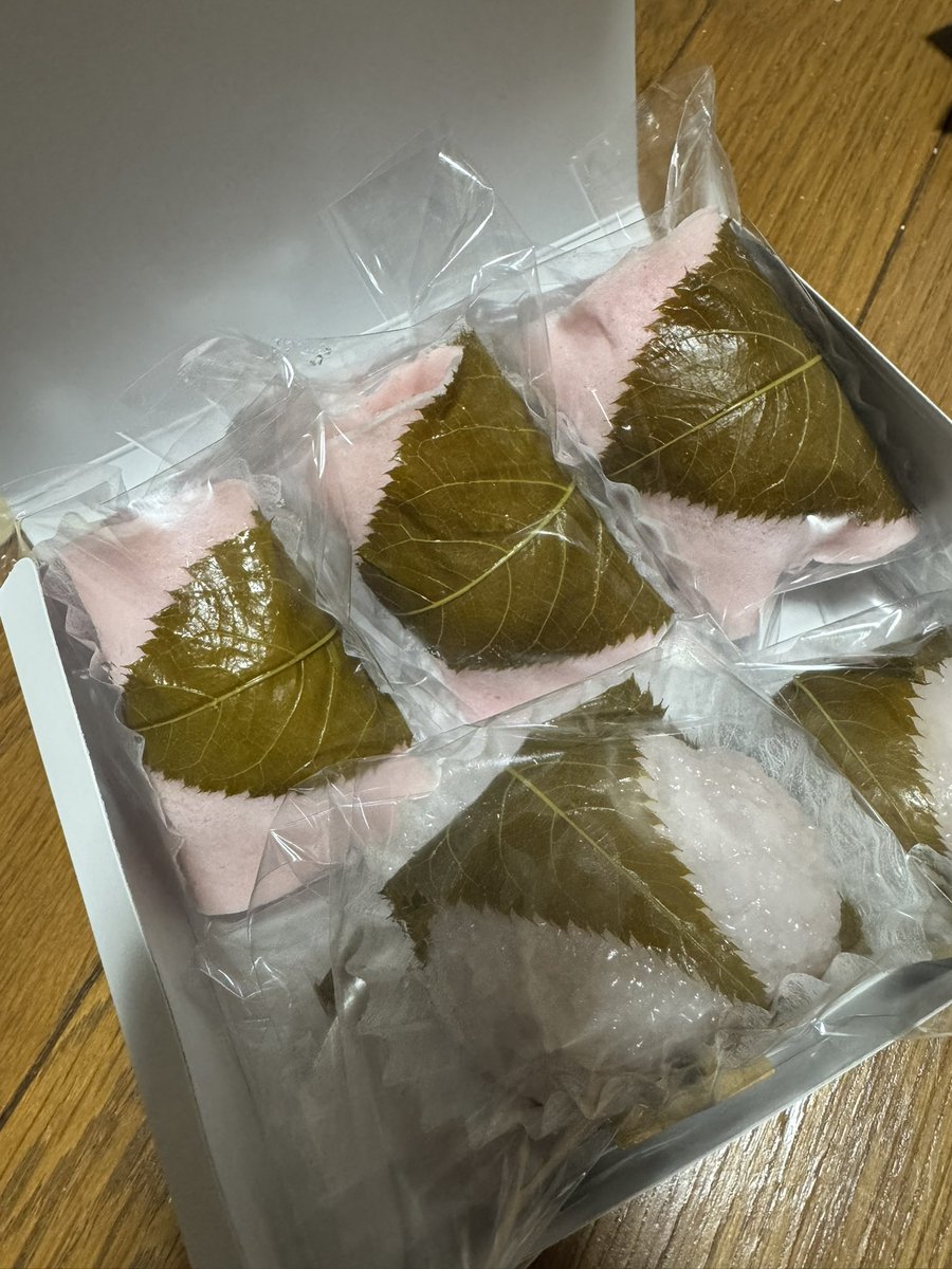 春なのに…2026閉幕。ありがとうございました tweet media