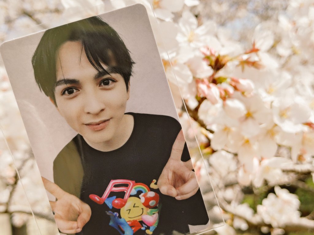 ふーこ tweet media