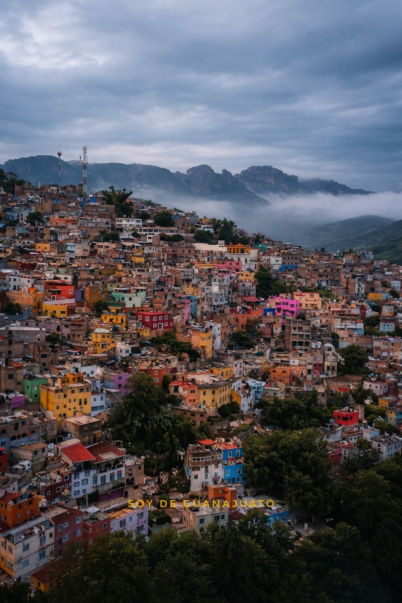 Soy de Guanajuato tweet media