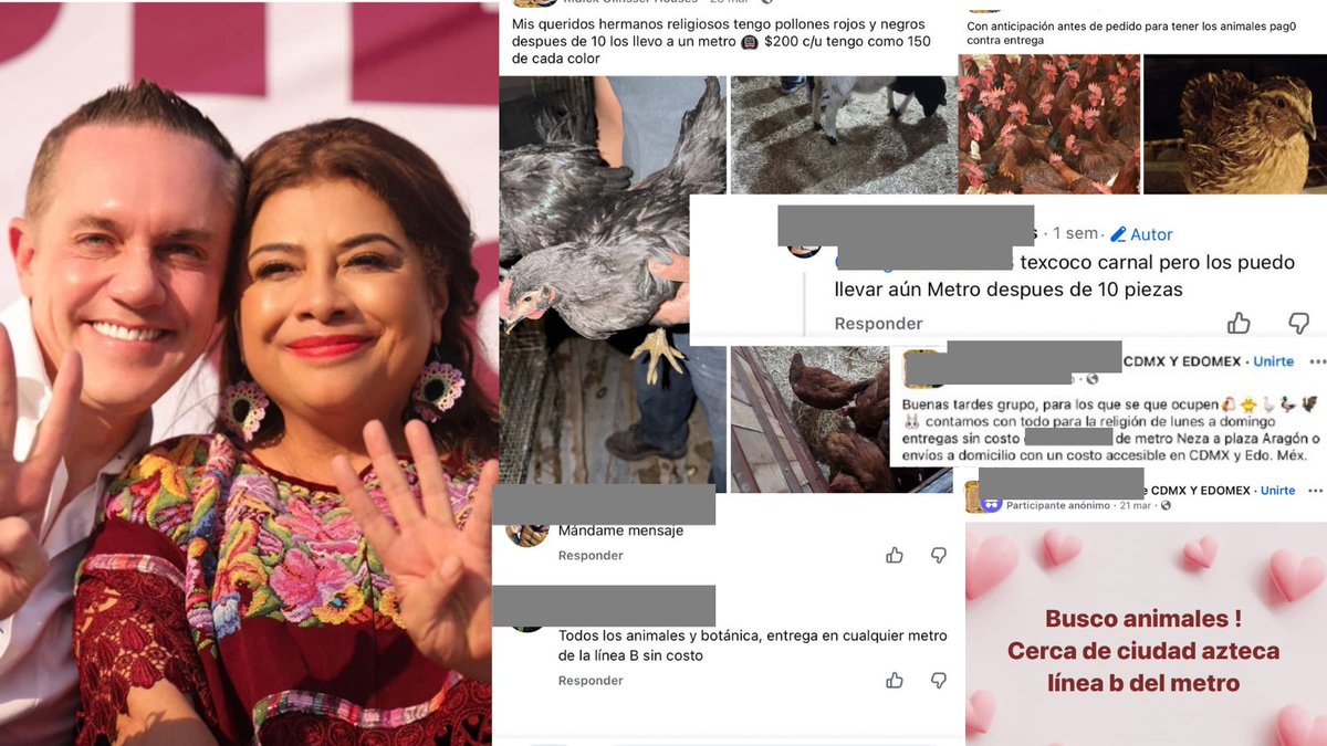 Lucía Hernández | Amo La Ciencia tweet media