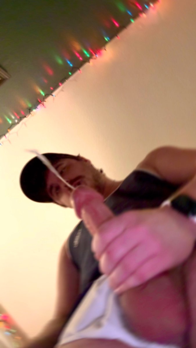 Dallycat tweet media