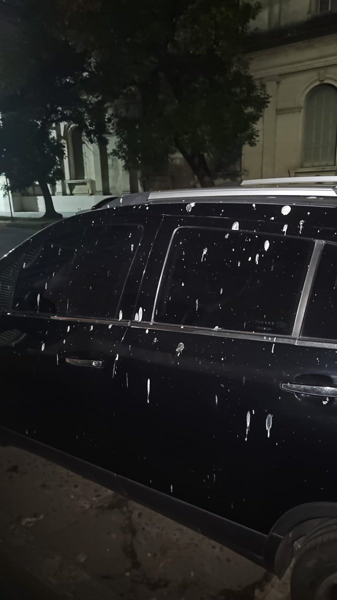 mgarridook's tweet photo. Santa fe, Capital y creo que podemos multiplicar a cualquier ciudad...mi camionetita...la dejé 30 minutos debajo de un Árbol...consulto a los ecologistas y defensores de las Palomas...de que mierda se alimentan?? Al otro día, manguera , cepillo y no sale..les pasa a ustedes?? https://t.co/MY9BqWcAqE