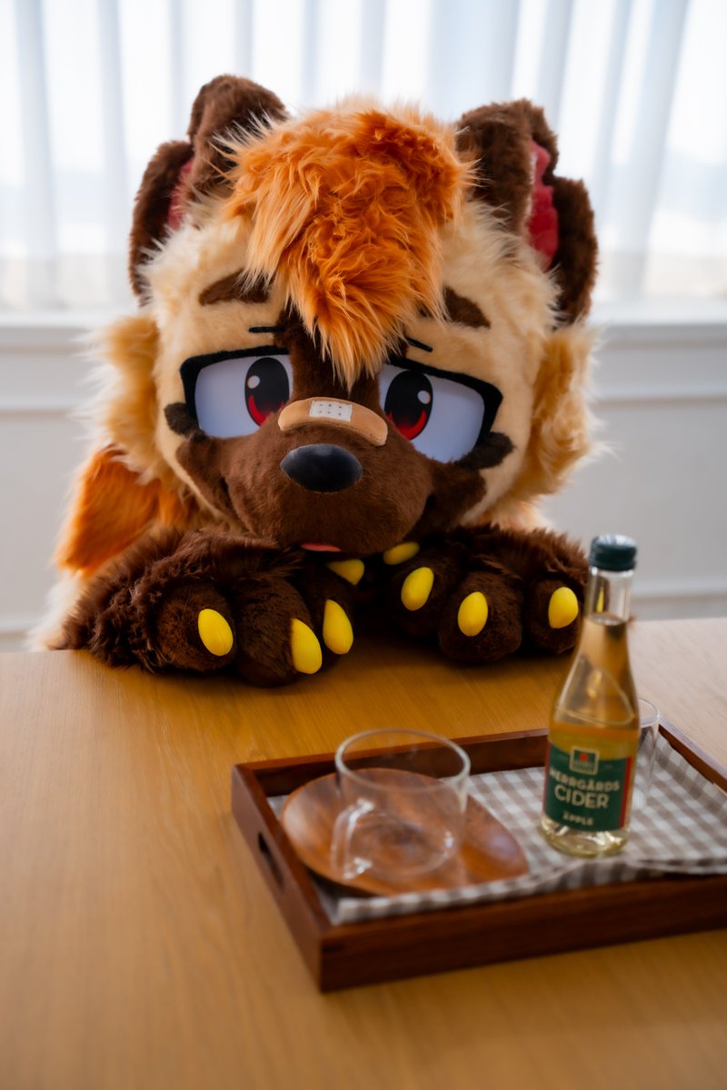 명이랑 후치 그리고 감자🔜FurstClass tweet media