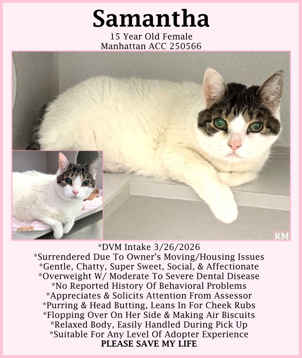 Renee' Martin tweet media