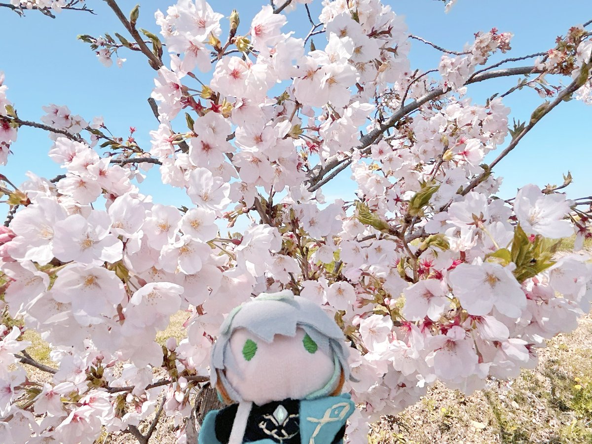 らむ🫧 tweet media