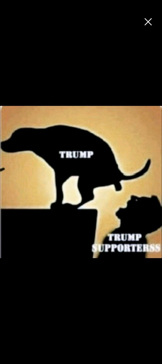 Tom Clepper tweet media