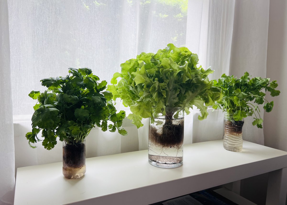 霸王别鸡🐔虾🦐扯蛋🥚佛跳墙🧱闲吃瓜🍉 tweet media