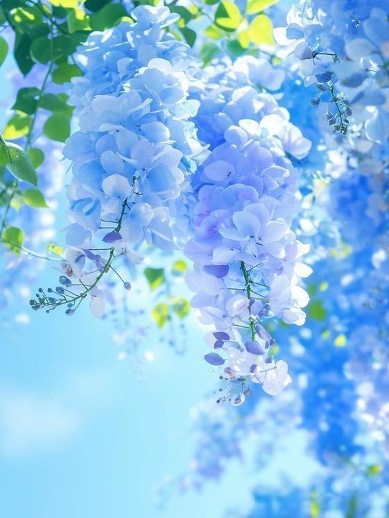 shadows (@shadows96461991) on Twitter photo 