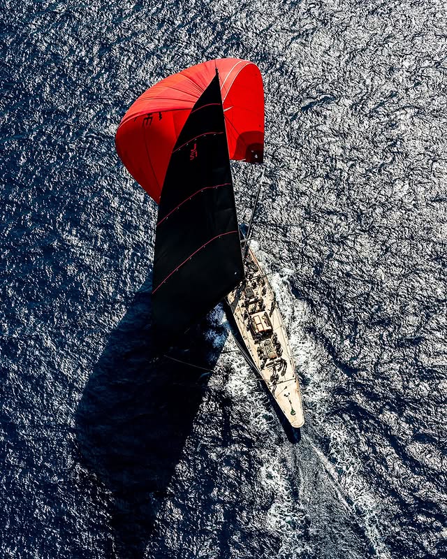 Delight Moments tweet media