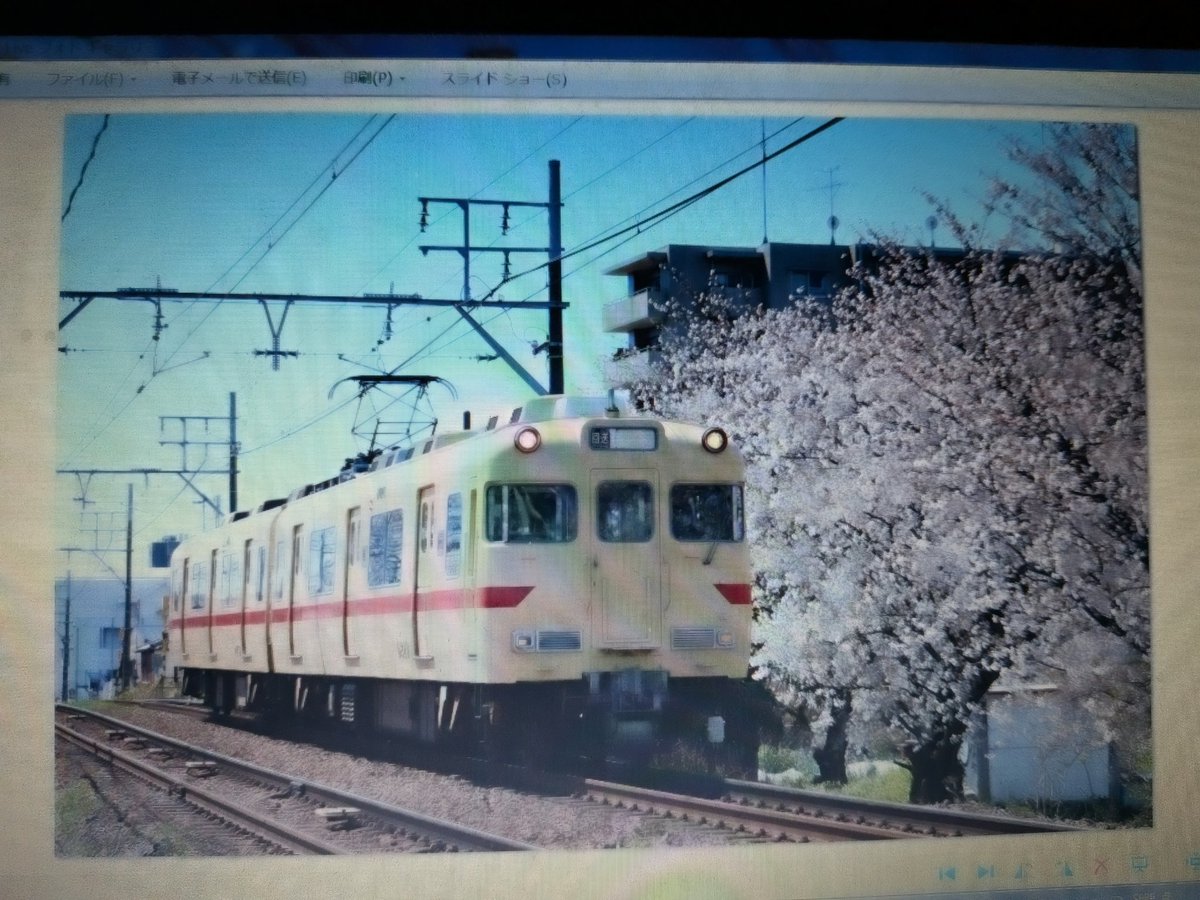 ☆☆☆ハトマーク tweet media