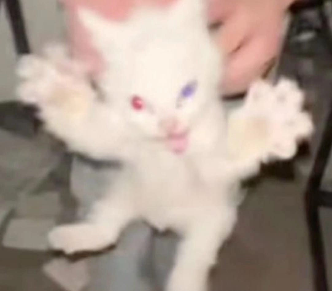 Wolfsbane tweet media