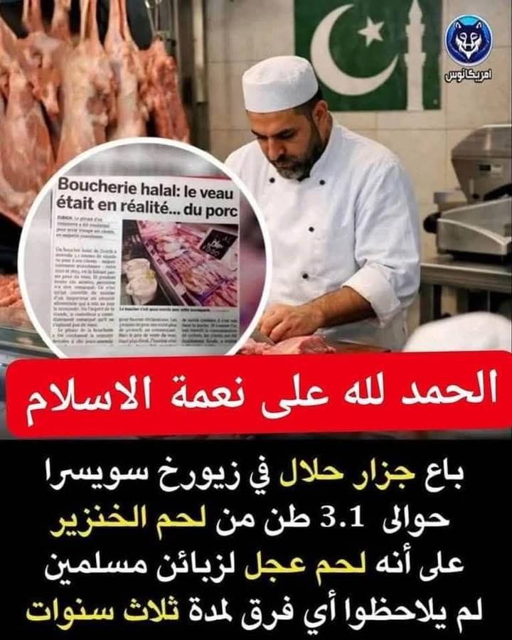 🌹Rogina🇪🇬 tweet media