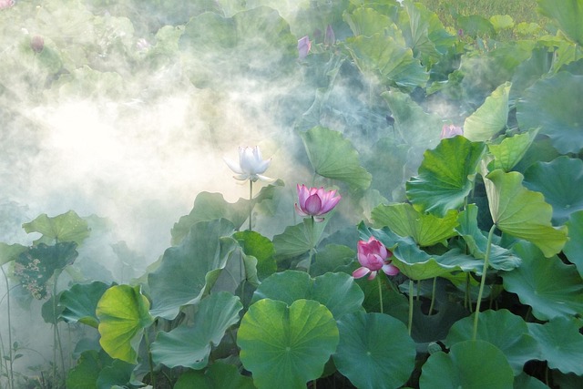 Tony Springer tweet media