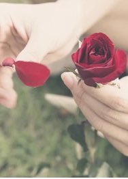 The Hawk Eye tweet media